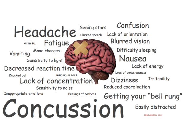 Image result for concussion program